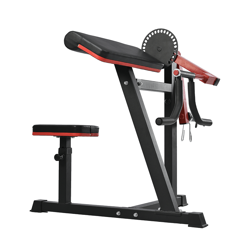 workout bench, weight bench exercise bench